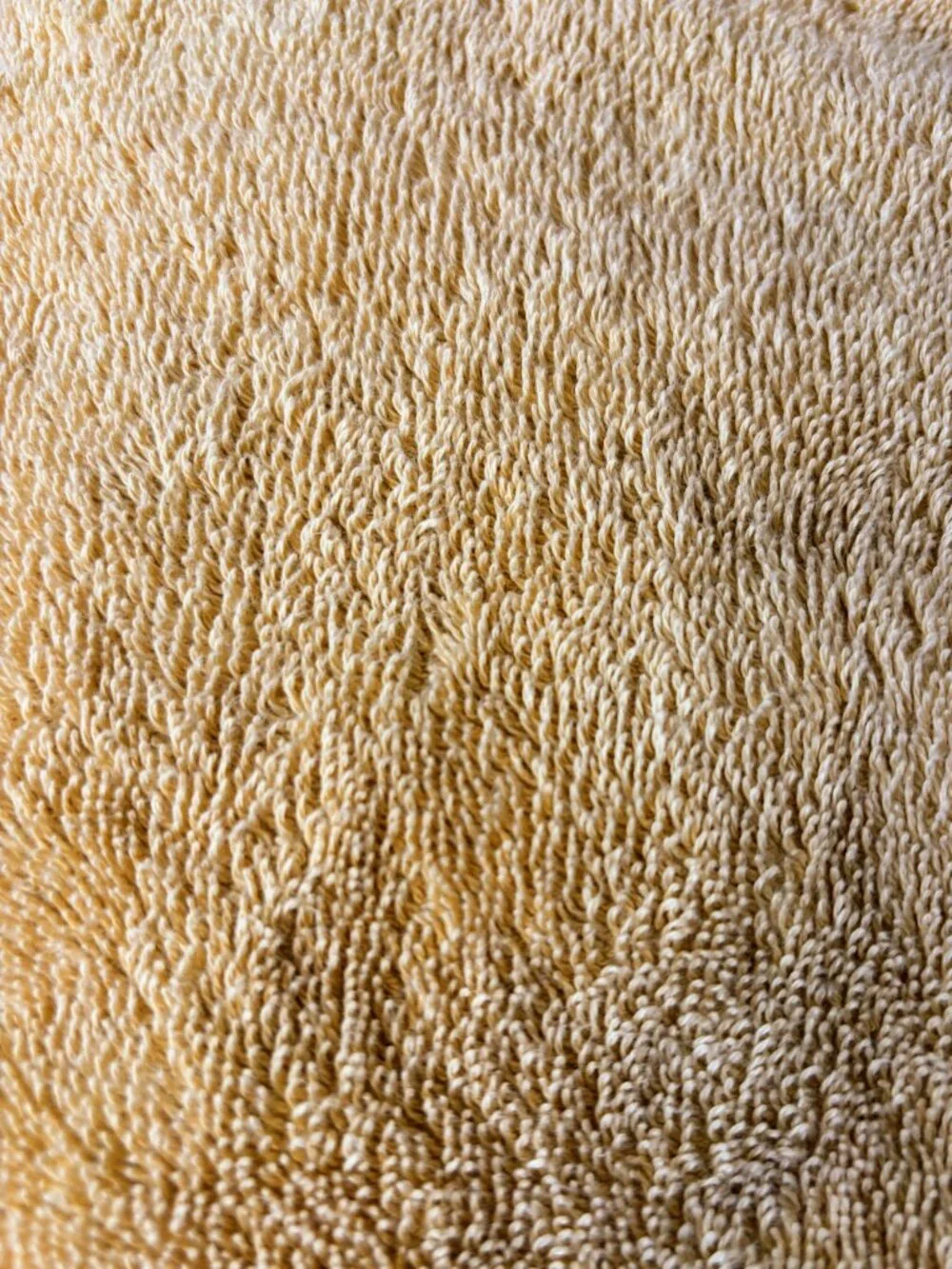 Pair of Martha Stewart Essential Bath Towels in Yellow and Blue